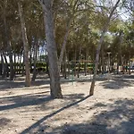 Loft En Santa Engracia - Entre El Moncayo Y Bardenas *