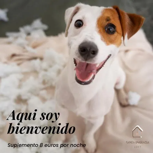 Loft En Santa Engracia - Entre El Moncayo Y Bardenas *